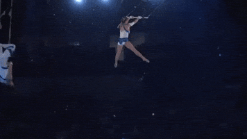 Spin Flying GIF by Ringling Bros. and Barnum & Bailey