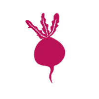 Vegetables Pickles Sticker by Les 3 Chouettes/Mazette