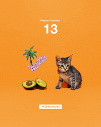 Save Them All Best Friends GIF by Best Friends Animal Society