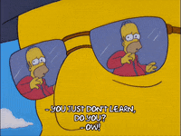homer simpson GIF