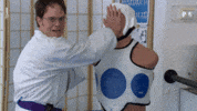 dwight schrute karate GIF