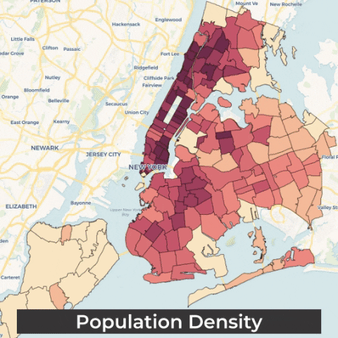 anhdnyc giphygifmaker GIF