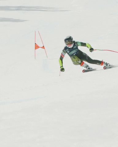 Team Usa Sport GIF by U.S. Ski & Snowboard Team