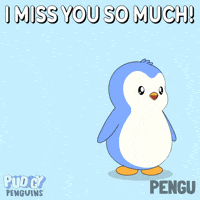 I Love You Sleeping GIF by Pudgy Penguins