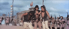 martial arts film GIF by Shaw Brothers