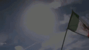 GIF by MiSelecciónMX