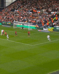 West Brom Wba GIF by West Bromwich Albion