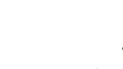 Football Basketball Sticker by Virginia Tech