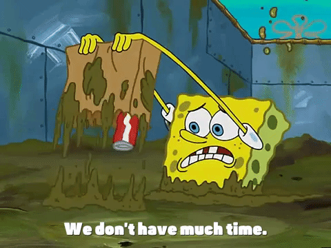 season 3 missing identity GIF by SpongeBob SquarePants