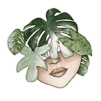 Green Plant Monstera Sticker