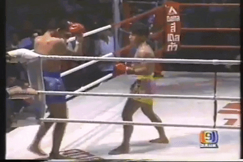 Alteroc giphygifmaker kongtoranee GIF