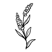 steph_fireflyatelier nature flower plant minimal Sticker