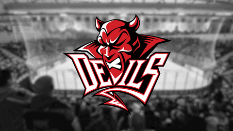 ice hockey pride GIF by Cardiff Devils