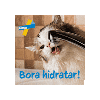 Drc Sticker by Elanco Brasil