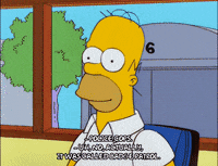 homer simpson episode 13 GIF
