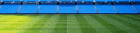 Soccer Futbol GIF by Carne Cruda