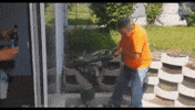 beer sp GIF