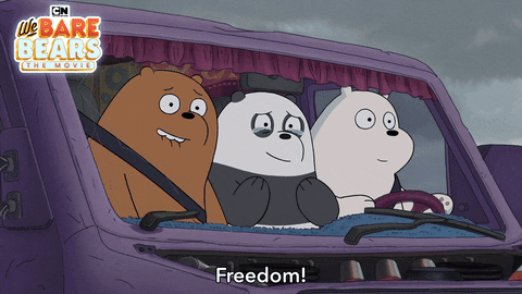 We Bare Bears Panda GIF by Cartoon Network