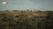 View Sight GIF by TRT