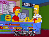homer simpson jeremy freedman GIF