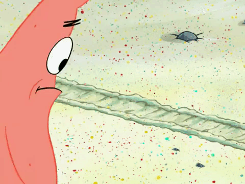 season 7 GIF by SpongeBob SquarePants