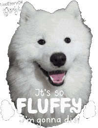 Cute Dog Sticker