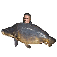 Alex Carp Sticker by Carption