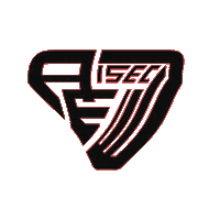 Sticker by AEISEC