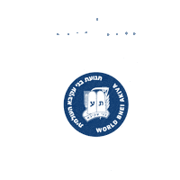 Jewish Hanukkah Sticker by WorldBneiAkiva