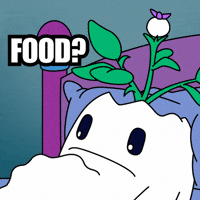 Hungry Feed Me GIF by Magic Eden