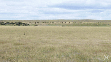 ersilias giphyupload GIF