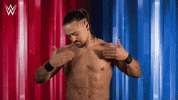 Look At Me Reaction GIF by WWE