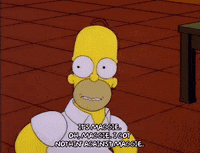 homer simpson episode 3 GIF