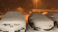 Cold Front Brings Winter Storm Conditions to Michigan