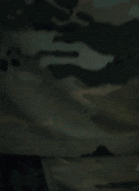 Us Army GIF by BuzzFeed