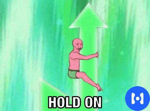 Hold On Crypto GIF by Haven1