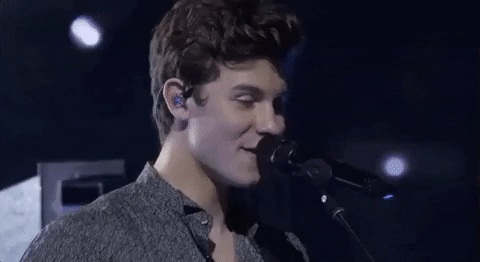 shawn mendes GIF by 2017 MTV Video Music Awards
