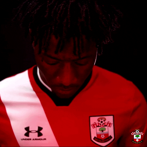 Premier League Football GIF by Southampton FC