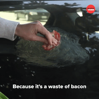 Waste of bacon