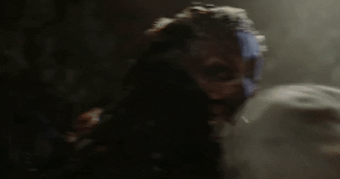 Halloween Bird GIF by Crypt TV