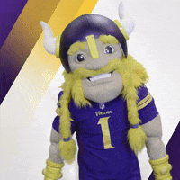 get loud nfl GIF by Viktor the Viking