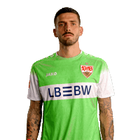Fabian Bredlow Thumbs Up Sticker by VfB Stuttgart 1893