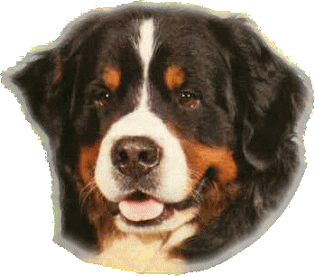 dog wink Sticker