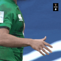Good Game Rugby GIF by Guinness Six Nations