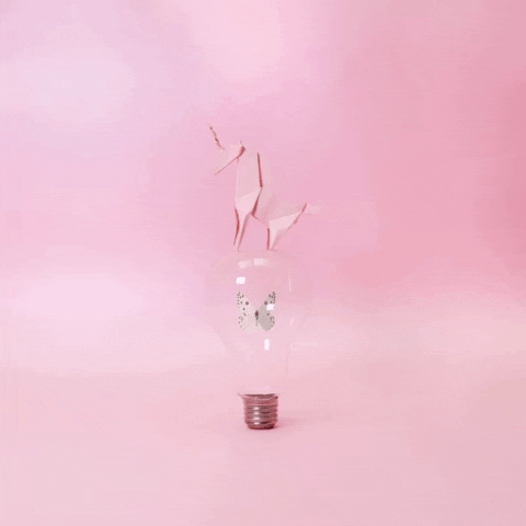 Pink Unicorn GIF by Mimi Velarde