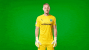 Funk Keeper GIF by SpVgg Greuther Fürth