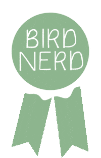Ribbon Bird Nerd Sticker by Melissa Boardman