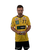 Handball Rnl Sticker by DAIKIN HBL