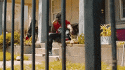 GIF by Diljit Dosanjh
