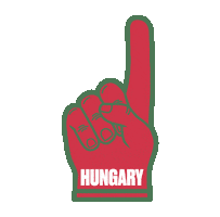 Ehfeuro2020 Sticker by EHF